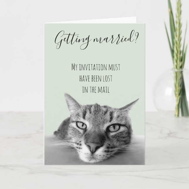 Getting Married Marriage From Cat Humour Card (Front)
