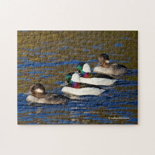 Getting My Ducks in a Row: Four Buffleheads Jigsaw Puzzle (Horizontal)