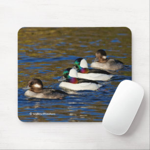 Getting My Ducks in a Row: Four Buffleheads Mouse Pad