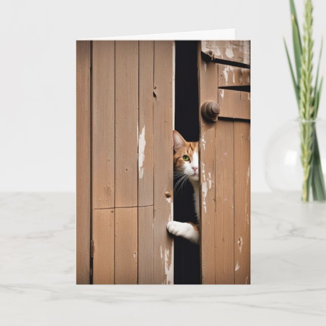 Getting Old Birthday Barn Cat  Card (Front)