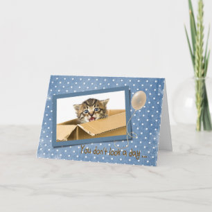 getting older birthday with cat in box card