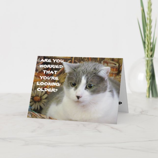 Getting Older? You Don't Look A Day Over 100 Card (Front)