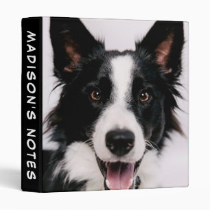 Getty Images A Smiling Border Collie Binder
