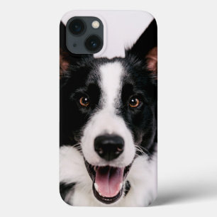 Getty Images   A Smiling Border Collie iPhone 13 Case
