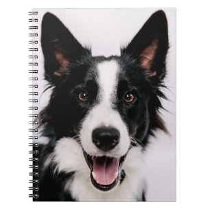 Getty Images A Smiling Border Collie Notebook
