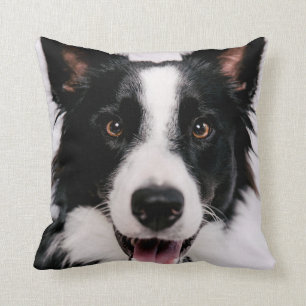 Getty Images   A Smiling Border Collie Throw Pillow