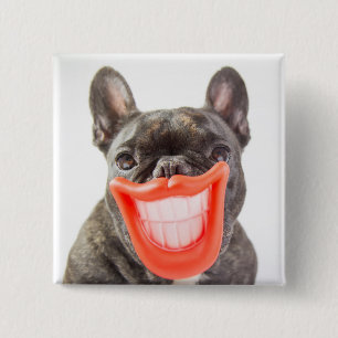 Getty Images   A Smiling Dog 2 Inch Square Button