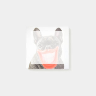 Getty Images   A Smiling Dog Post-it Notes