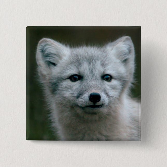 Getty Images | Arctic Fox Kit 2 Inch Square Button (Front)