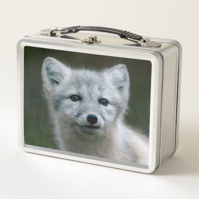 Getty Images | Arctic Fox Kit Metal Lunch Box (Front)