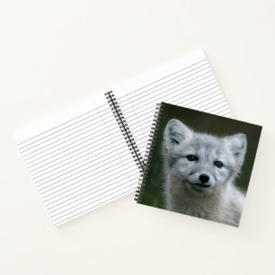 Getty Images Arctic Fox Kit Notebook
