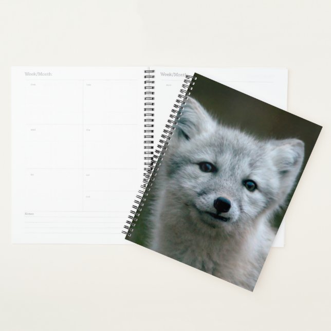 Getty Images | Arctic Fox Kit Planner (Display)