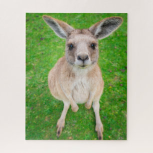 Getty Images Baby Kangaroo Jigsaw Puzzle