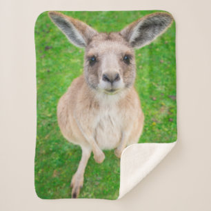Getty Images Baby Kangaroo Sherpa Blanket