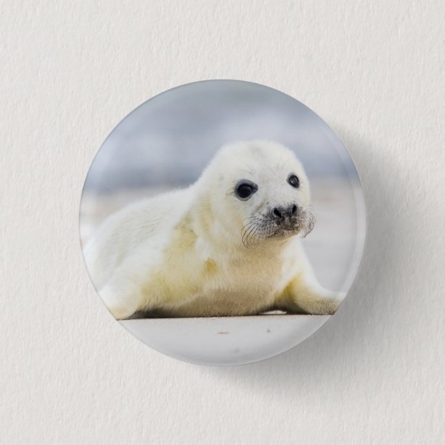 Getty Images | Baby Seal 1 Inch Round Button (Front)