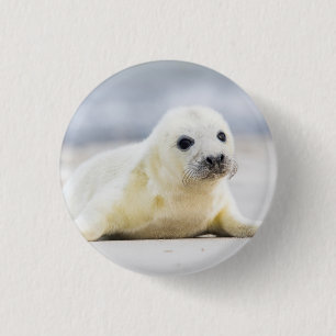 Getty Images   Baby Seal 1 Inch Round Button