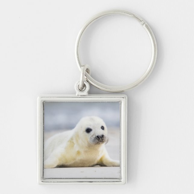 Getty Images | Baby Seal Keychain (Front)