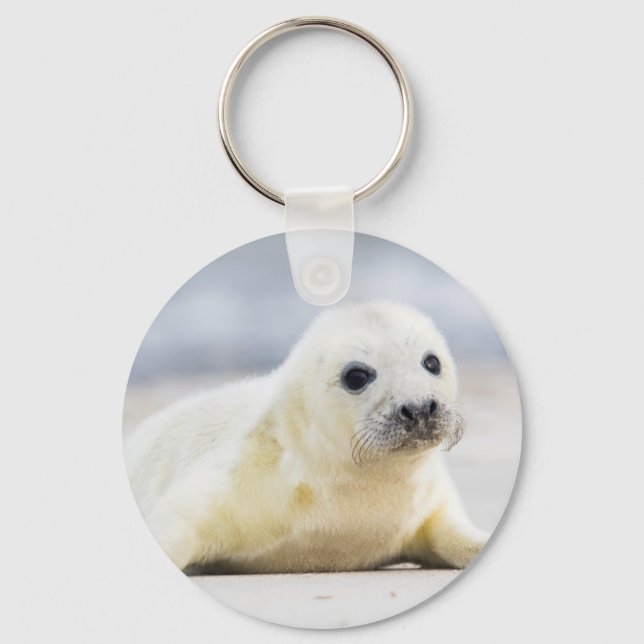 Getty Images | Baby Seal Keychain (Front)