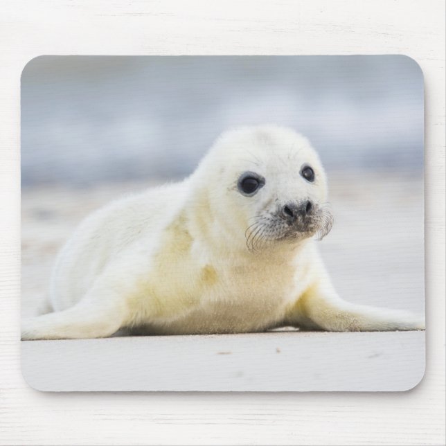 Getty Images | Baby Seal Mouse Pad (Front)