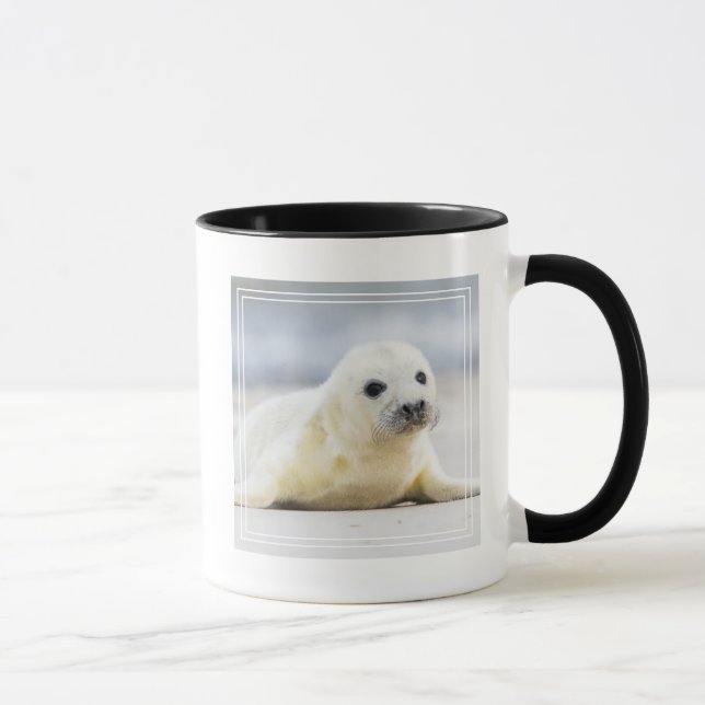 Getty Images | Baby Seal Mug (Right)