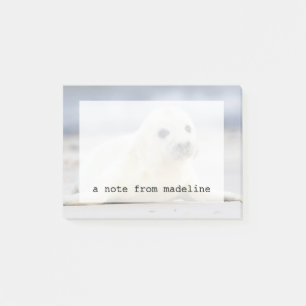 Getty Images Baby Seal Post-it Notes