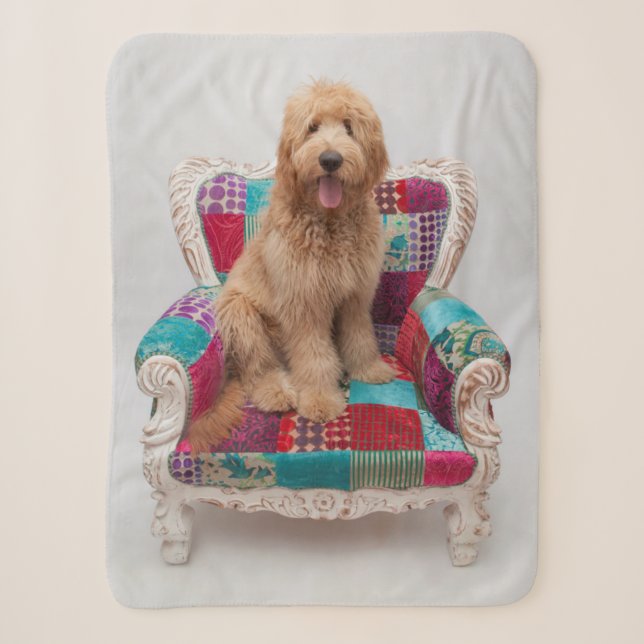 Getty Images | Cute Goldendoodle Sherpa Blanket (Front)