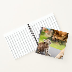 Getty Images   Dog & Cat In Love Notebook