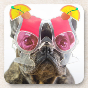 Getty Images   Dog With Cocktail Glasses Coaster