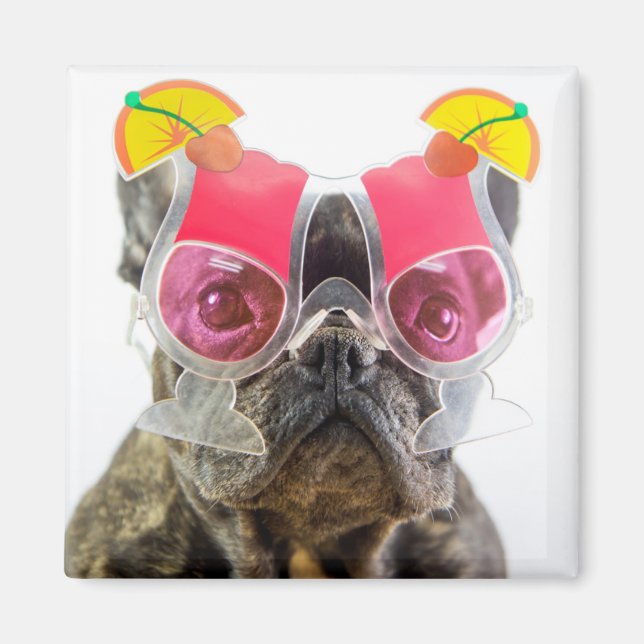 Getty Images | Dog With Cocktail Glasses Magnet (Front)