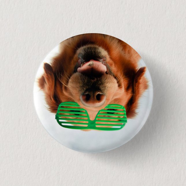 Getty Images | Dog With Glasses 1 Inch Round Button (Front)