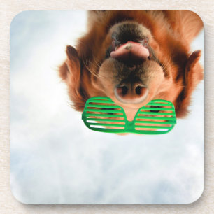 Getty Images Dog With Glasses Coaster