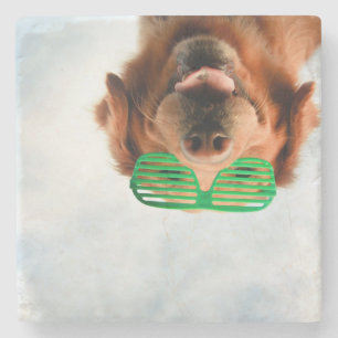 Getty Images   Dog With Glasses Stone Coaster
