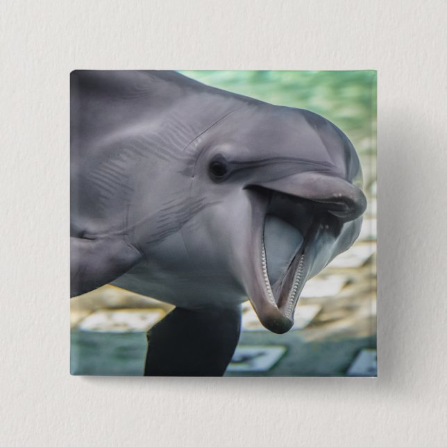Getty Images | Dolphin 2 Inch Square Button (Front)
