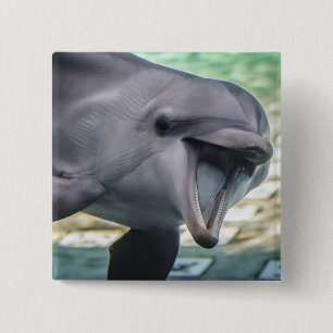 Getty Images Dolphin 2 Inch Square Button