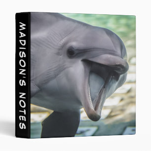 Getty Images   Dolphin Binder