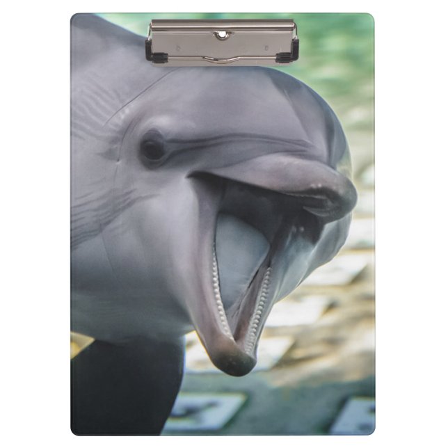 Getty Images | Dolphin Clipboard (Front)