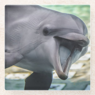 Getty Images Dolphin Glass Coaster