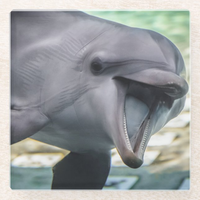 Getty Images | Dolphin Glass Coaster (Front)