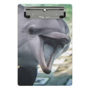 Getty Images Dolphin Mini Clipboard
