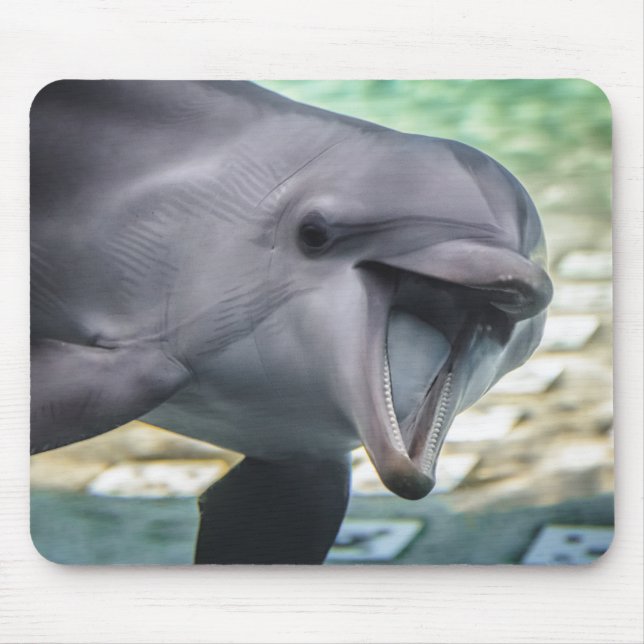 Getty Images | Dolphin Mouse Pad (Front)