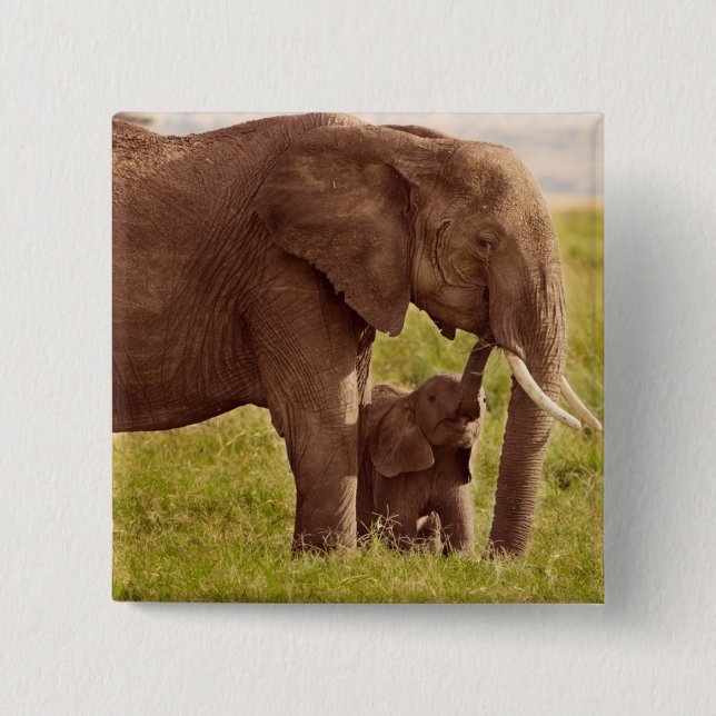 Getty Images | Elephant & Baby 2 Inch Square Button (Front)