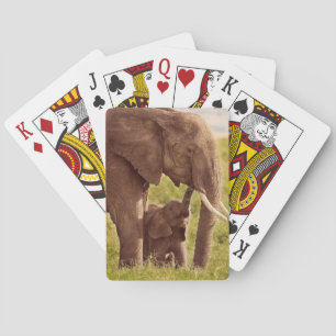 Getty Images Elephant & Baby Playing Cards