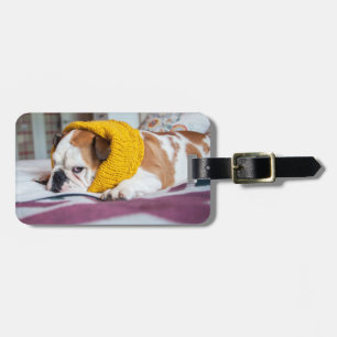 Getty Images   English Bulldog Luggage Tag