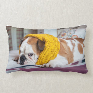 Getty Images   English Bulldog Lumbar Pillow