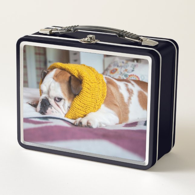 Getty Images | English Bulldog Metal Lunch Box (Front)