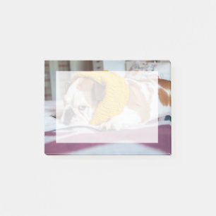 Getty Images   English Bulldog Post-it Notes
