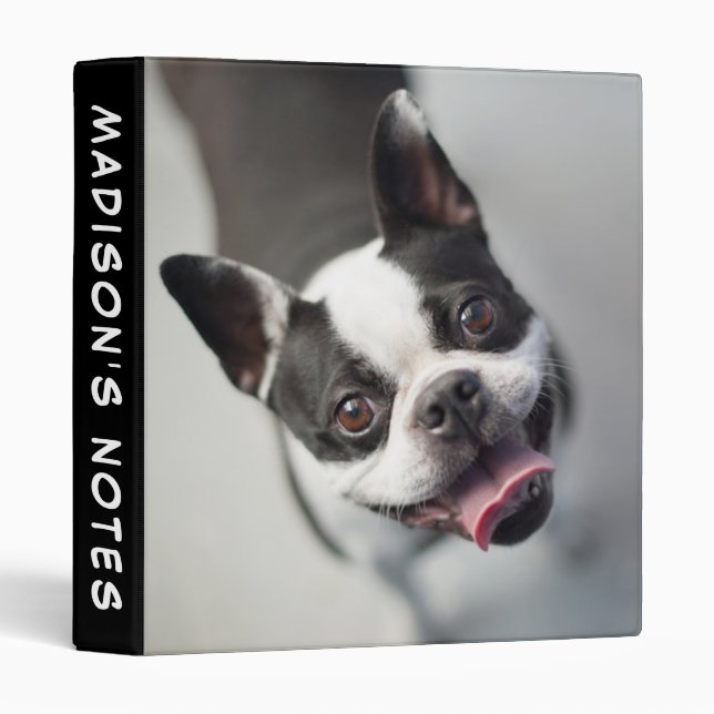 Getty Images | French Bulldog Binder (Front/Spine)