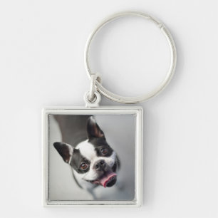 Getty Images French Bulldog Keychain