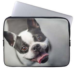Getty Images   French Bulldog Laptop Sleeve