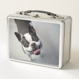 Getty Images   French Bulldog Metal Lunch Box